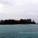 Pulau Semak Wisata Pulau Pramuka