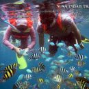 Snorkeling Berdua di Pulau Tidung